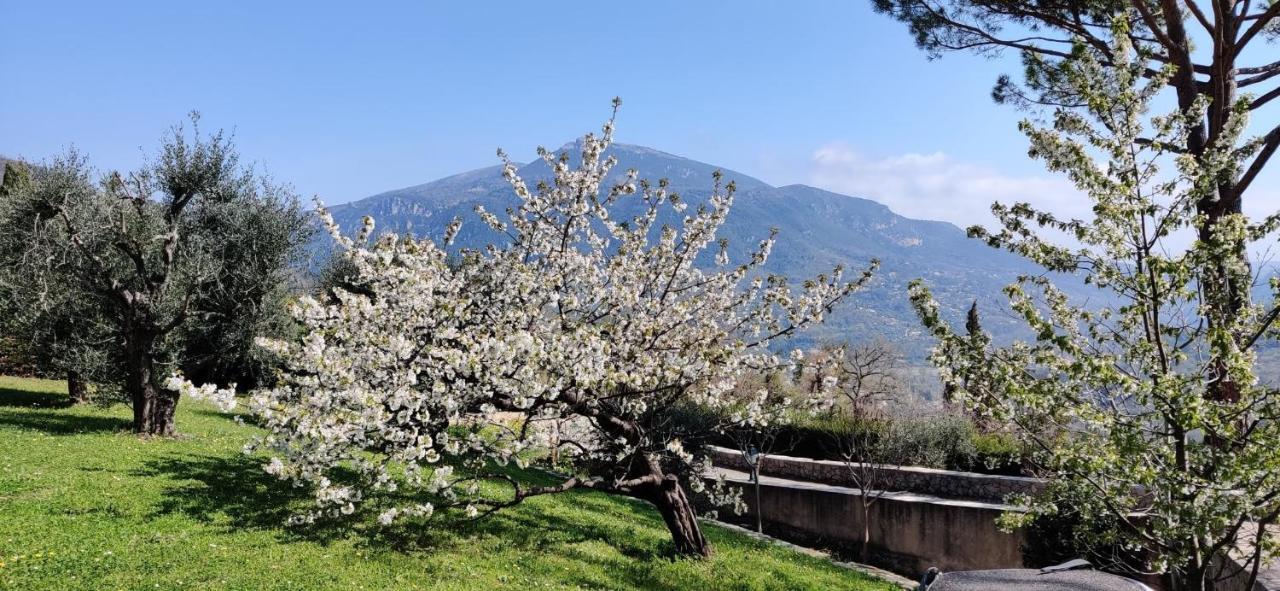 Loup Castel Boutique Hotel B&B Le Bar-sur-Loup ภายนอก รูปภาพ