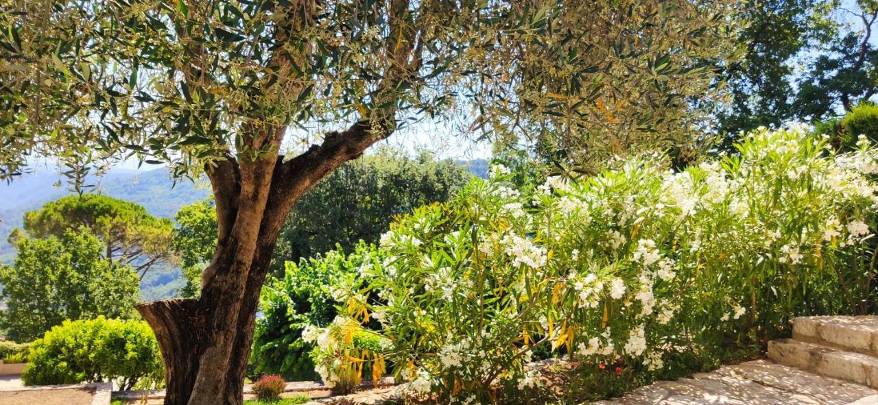Loup Castel Boutique Hotel B&B Le Bar-sur-Loup ภายนอก รูปภาพ